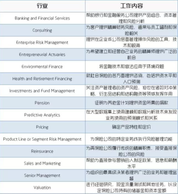 美國精技師的職責、風險管理咨詢服務與薪資概覽